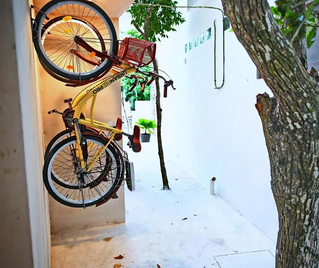 Luxury 5-Br Oasis Golf, Private Pool, Beach! Akumal Mexico