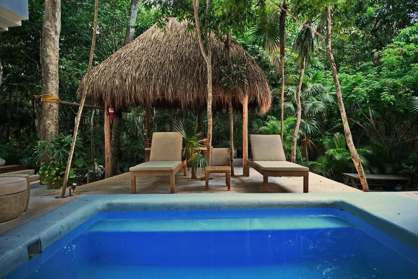Luxury 5-Br Oasis Golf, Private Pool, Beach! Akumal Holiday home
